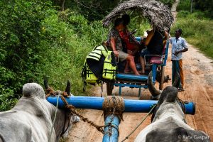 Sri Lanka, village tour