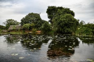 Sri Lanka, village tour