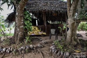 Sri Lanka, village tour