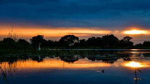 Sri Lanka, village tour