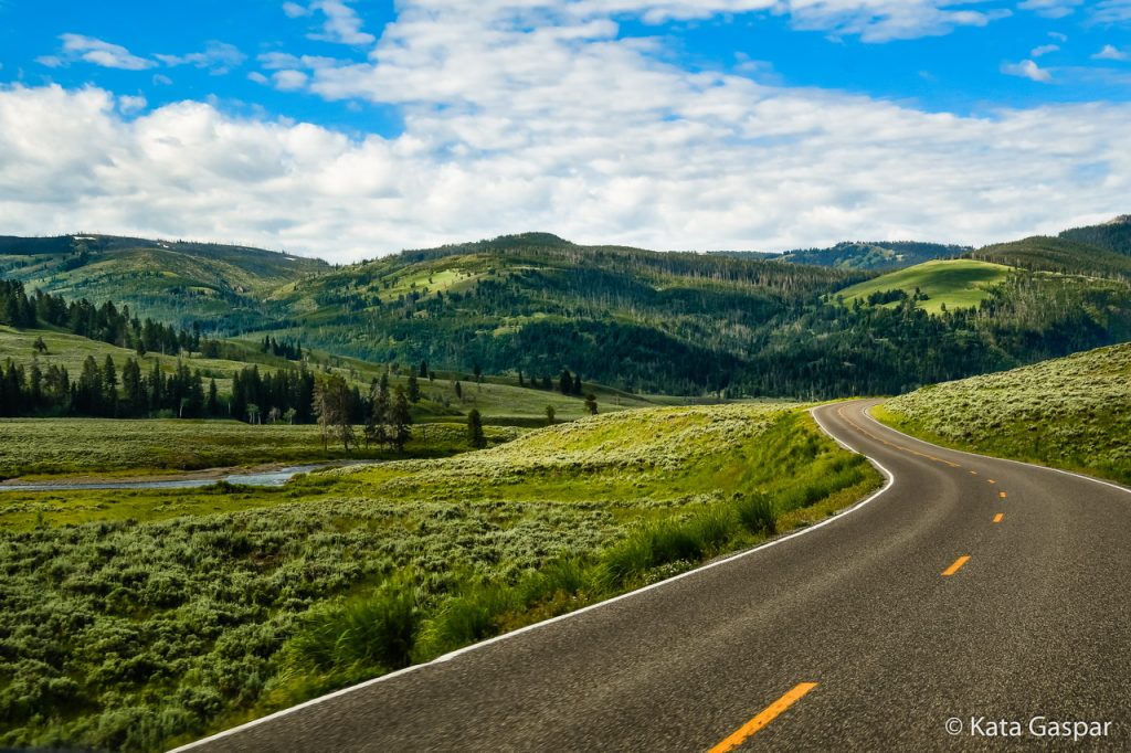 USA, Vadnyugat, Yellowstone, Lamar Valley, bölények