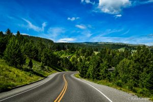 USA, Vadnyugat, Yellowstone, Lamar Valley, bölények